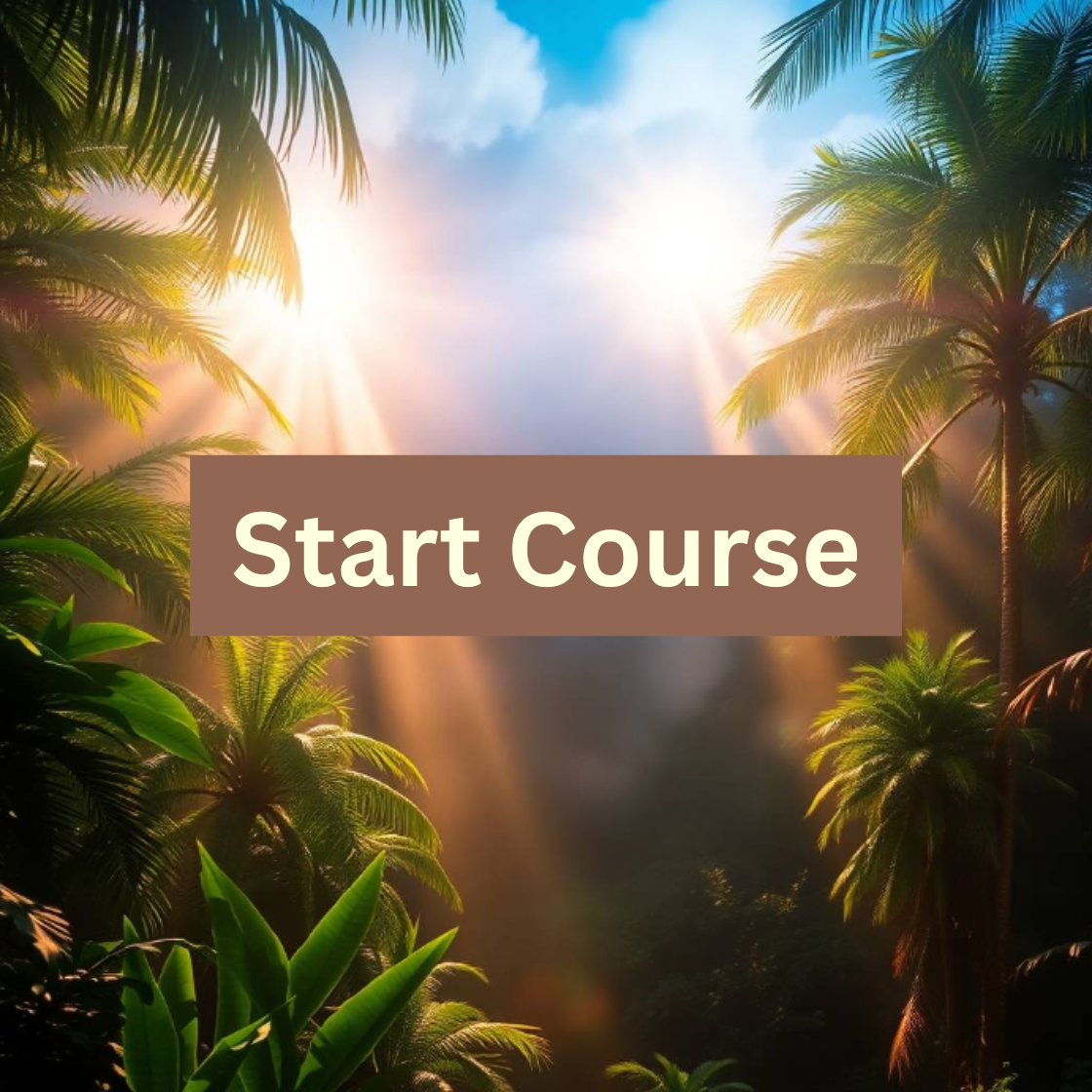 Start Course